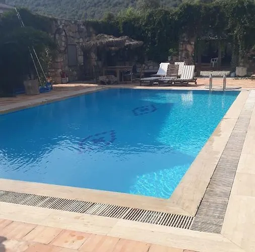 Levissihan Apartahotel *